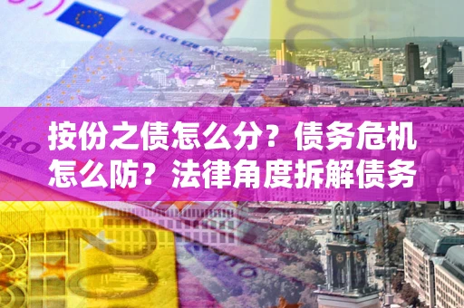 武汉按份之债怎么分？债务危机怎么防？法律角度拆解债务分配与风险自保指南