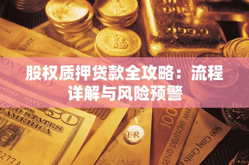 武汉股权质押贷款全攻略：流程详解与风险预警