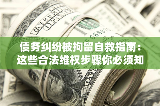 武汉债务纠纷被拘留自救指南：这些合法维权步骤你必须知道！