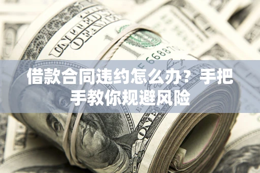 武汉借款合同违约怎么办？手把手教你规避风险