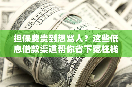 武汉担保费贵到想骂人？这些低息借款渠道帮你省下冤枉钱