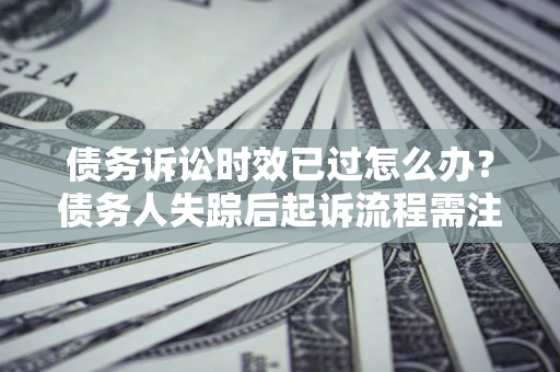 武汉债务诉讼时效已过怎么办？债务人失踪后起诉流程需注意什么？