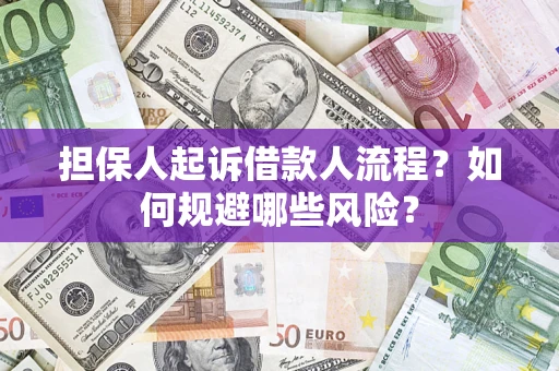 武汉担保人起诉借款人流程？如何规避哪些风险？