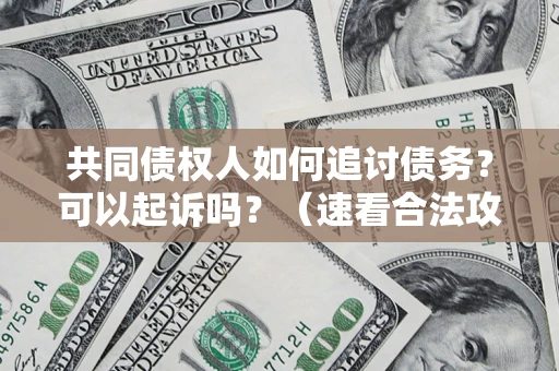 武汉共同债权人如何追讨债务？可以起诉吗？（速看合法攻略）