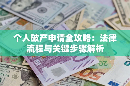 武汉个人破产申请全攻略：法律流程与关键步骤解析